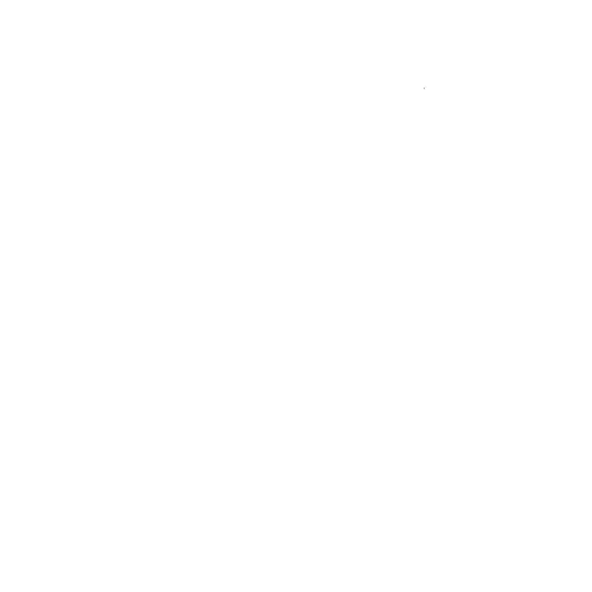 high times 2019 winner